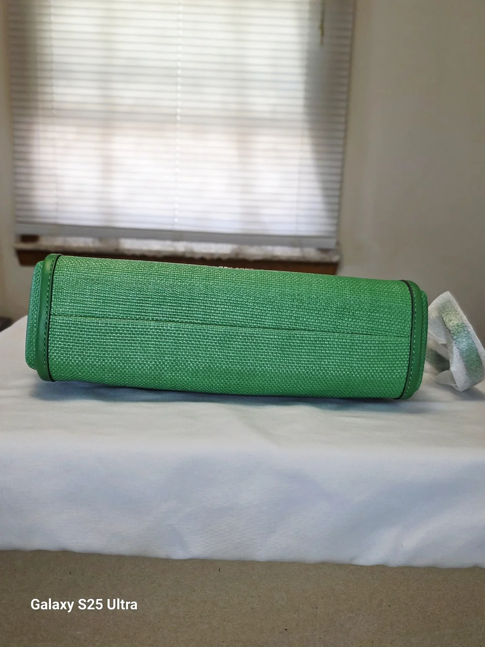 Kate Spade Alexia Straw Crossbody Clutch In Green Bean